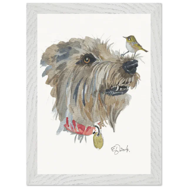 Grey framed print with a silvereye on a dog's nose