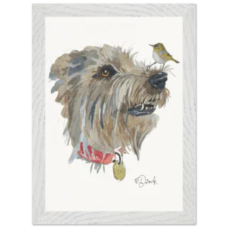 Grey framed print with a silvereye on a dog's nose