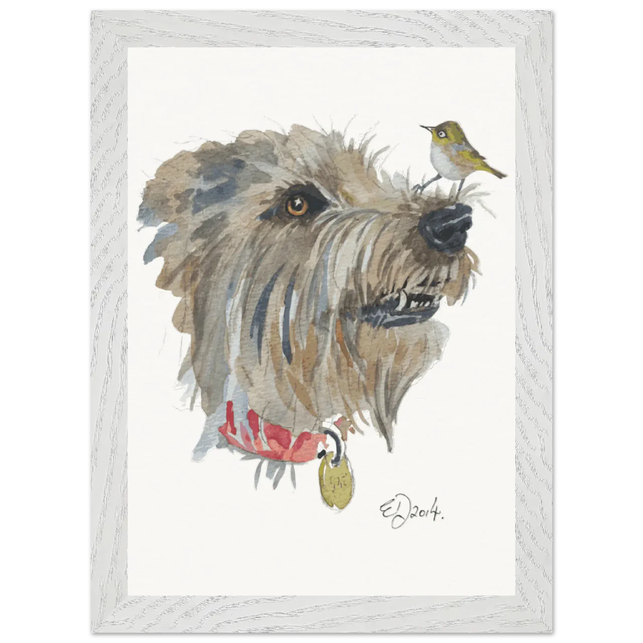 Grey framed print with a silvereye on a dog's nose