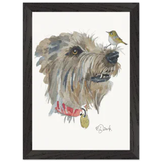 Black framed print with a silvereye on a dog's nose