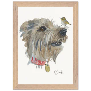 Wood framed print with a silvereye on a dog's nose