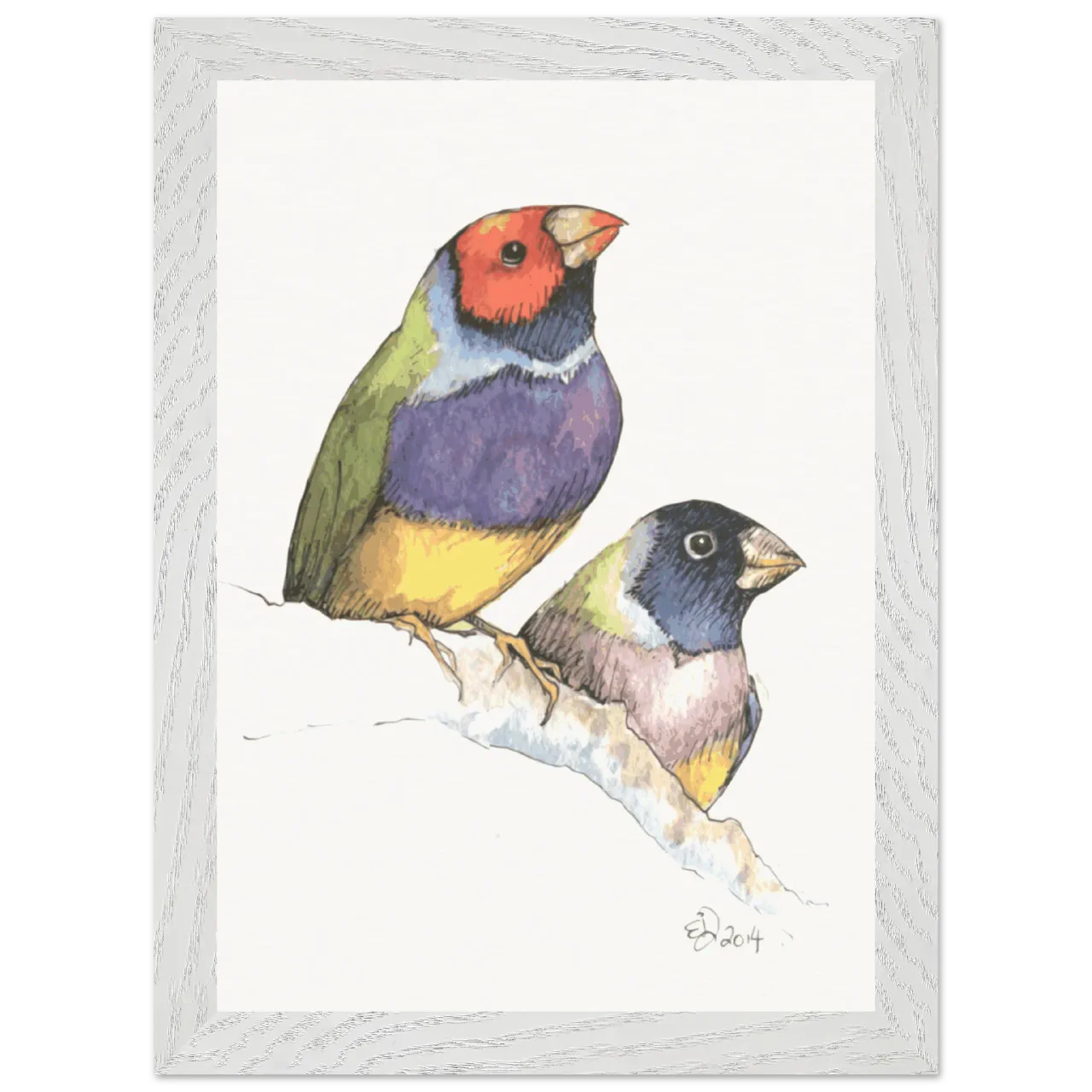 White framed print with two watercolor Gouldian finches