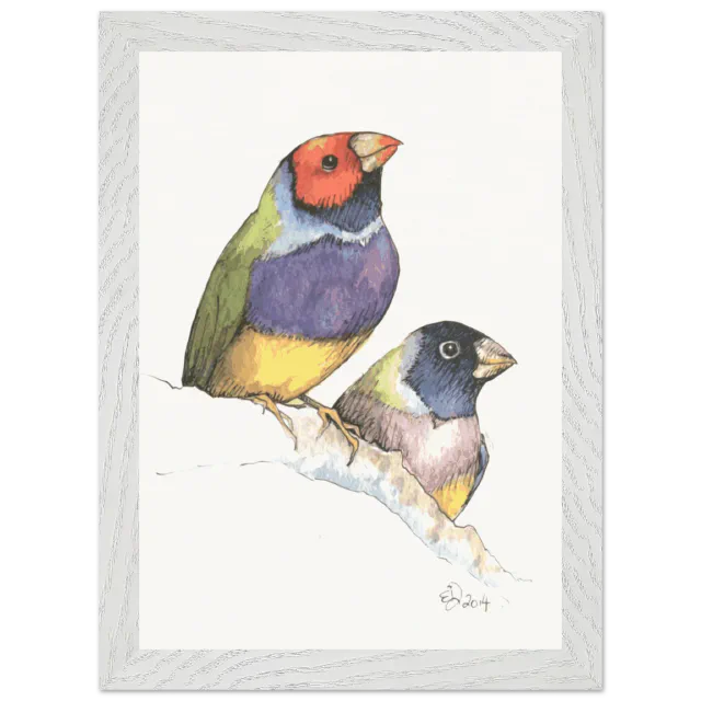 White framed print with two watercolor Gouldian finches