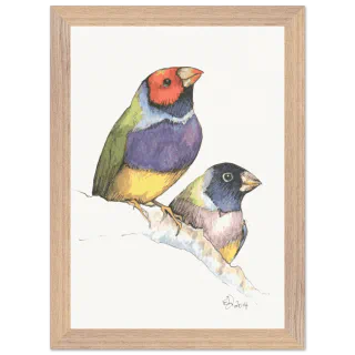Wood framed print with two watercolor Gouldian finches