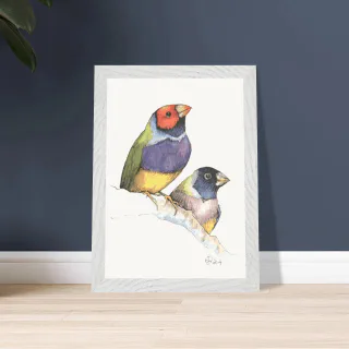 Framed print with two watercolor Gouldian finches