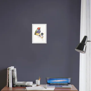 Framed print with two watercolor Gouldian finches