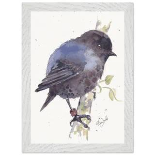 White framed print with a watercolour black robin