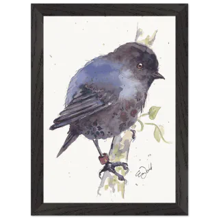 Black framed print with a watercolour black robin