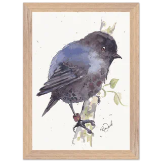 Wood framed print with a watercolour black robin