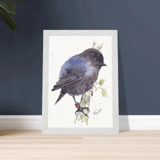 Framed print with a watercolour black robin