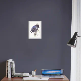 Framed print with a watercolour black robin