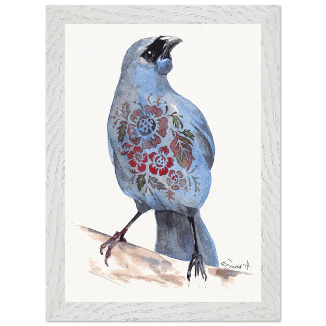 White framed print of a blue kokako with floral chest pattern