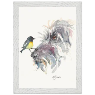 White framed print with a tomtit on a wolfhound's nose