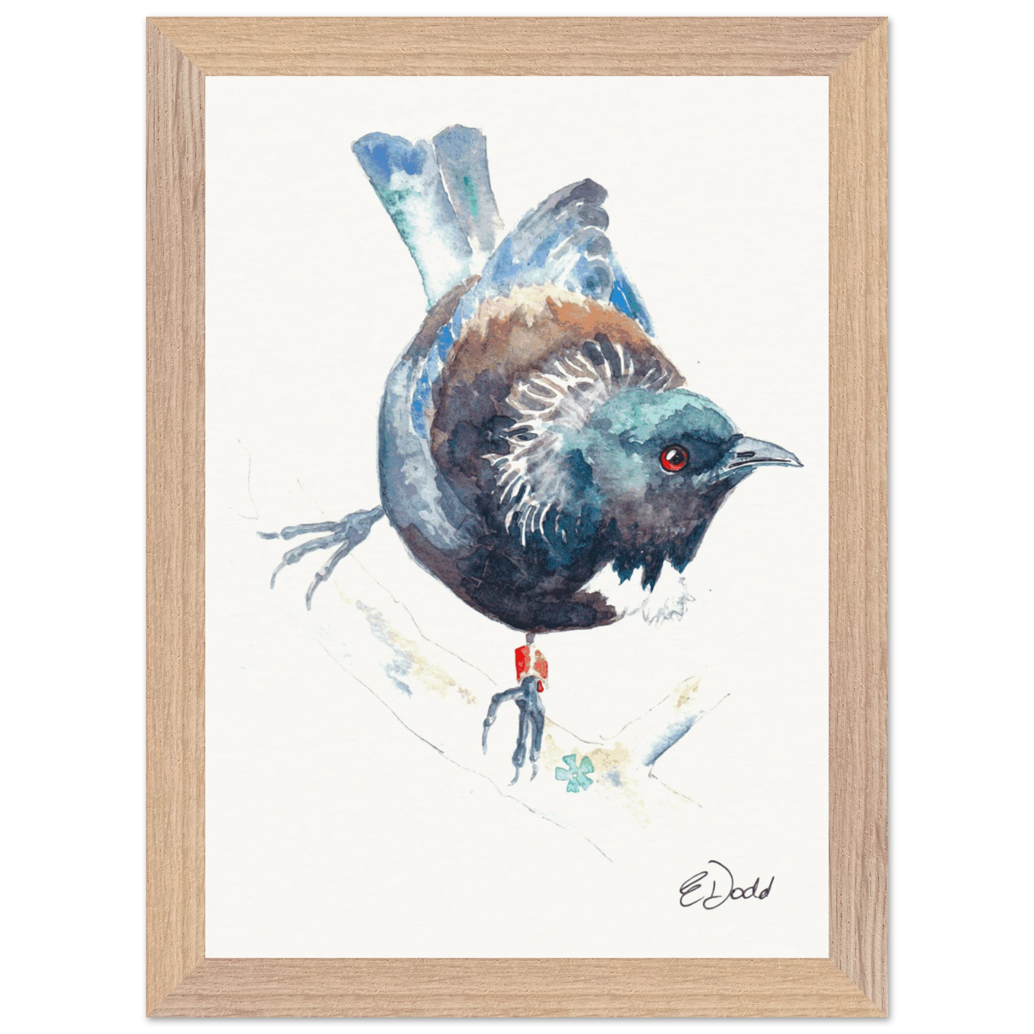 Tui Watercolour by Elizabeth Dodd - A4 Framed Print - image 2
