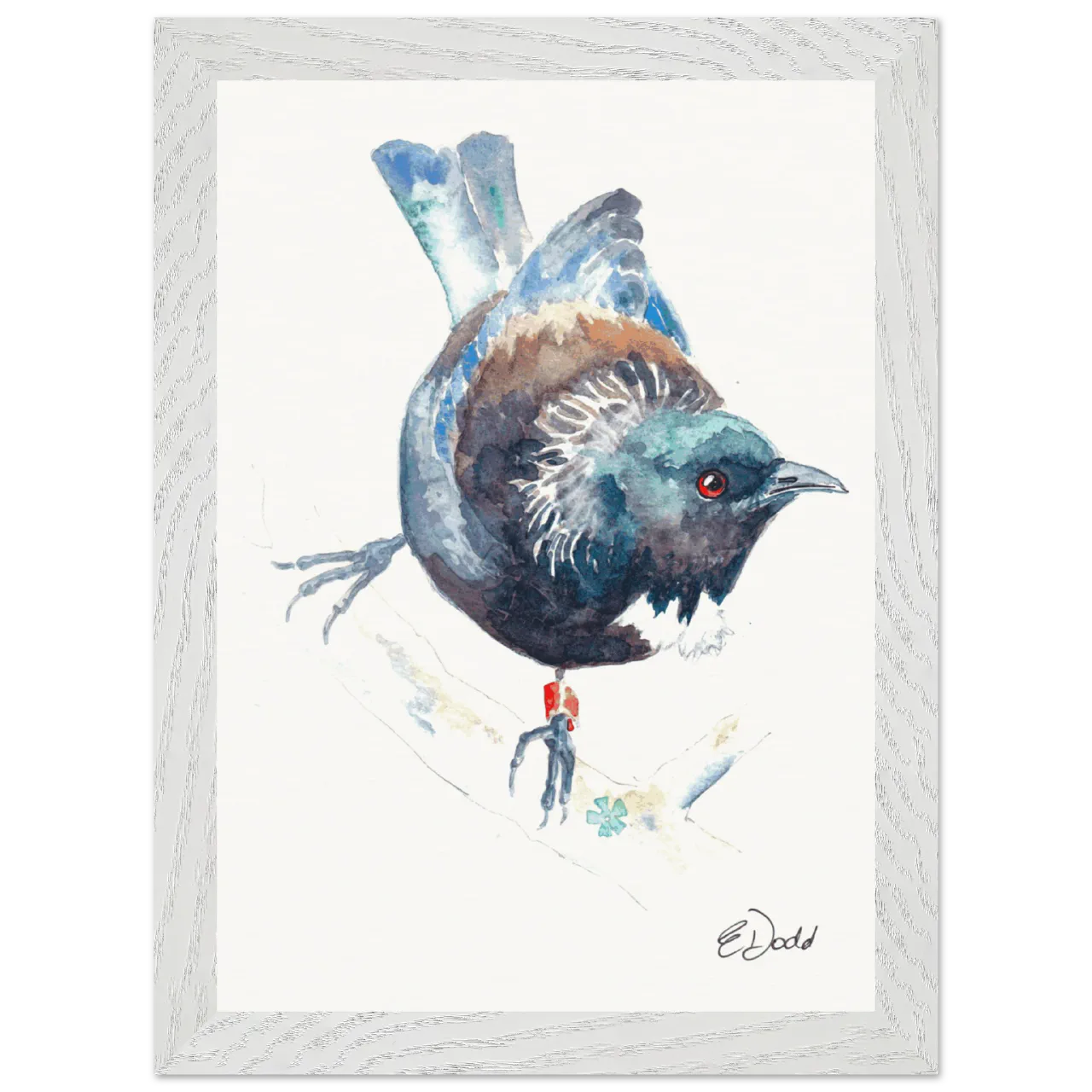 White framed print with a watercolour tūī