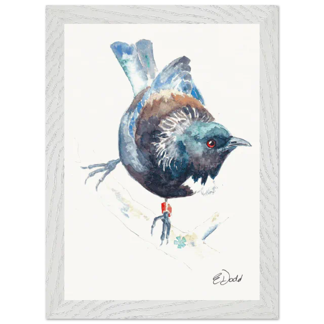 White framed print with a watercolour tūī
